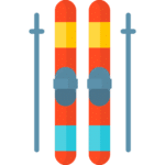 SKIS + POLES