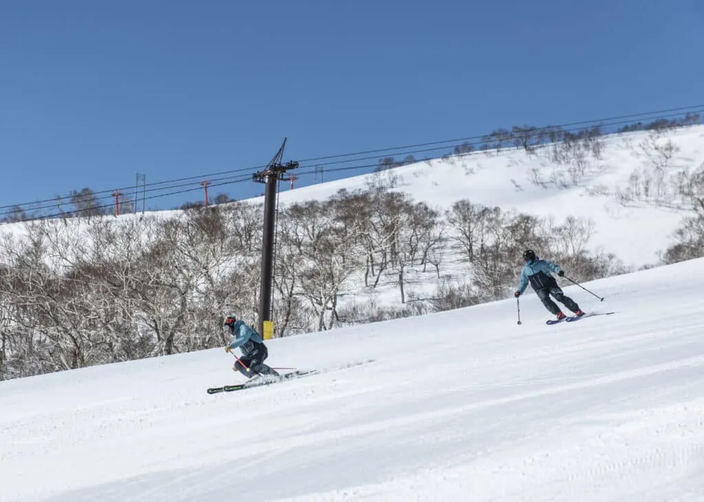 Professional ski training Niseko