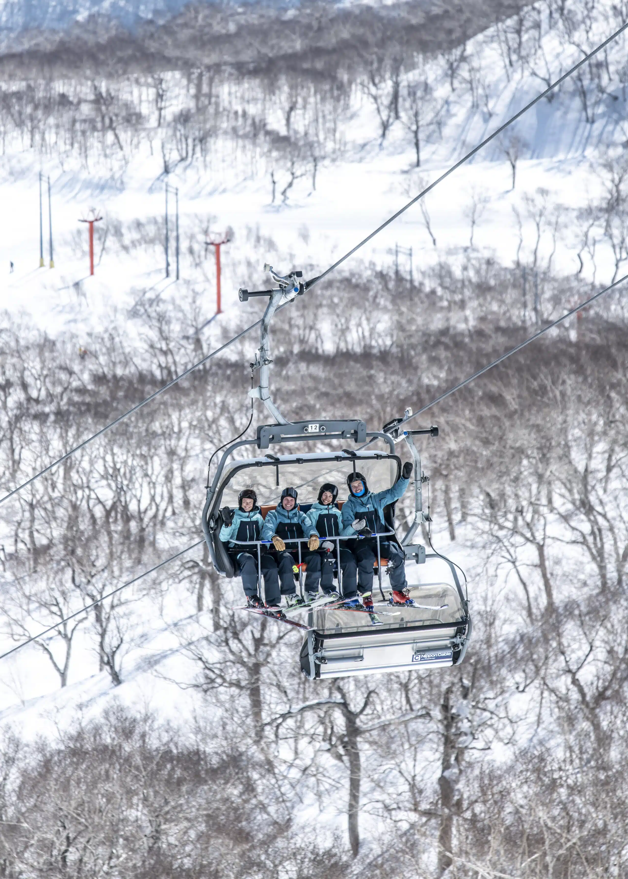 Niseko ski resort features
