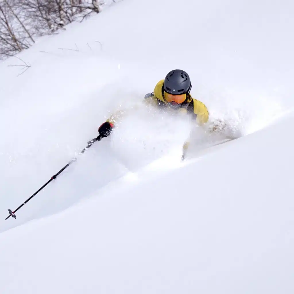 Avalanche Safety Niseko