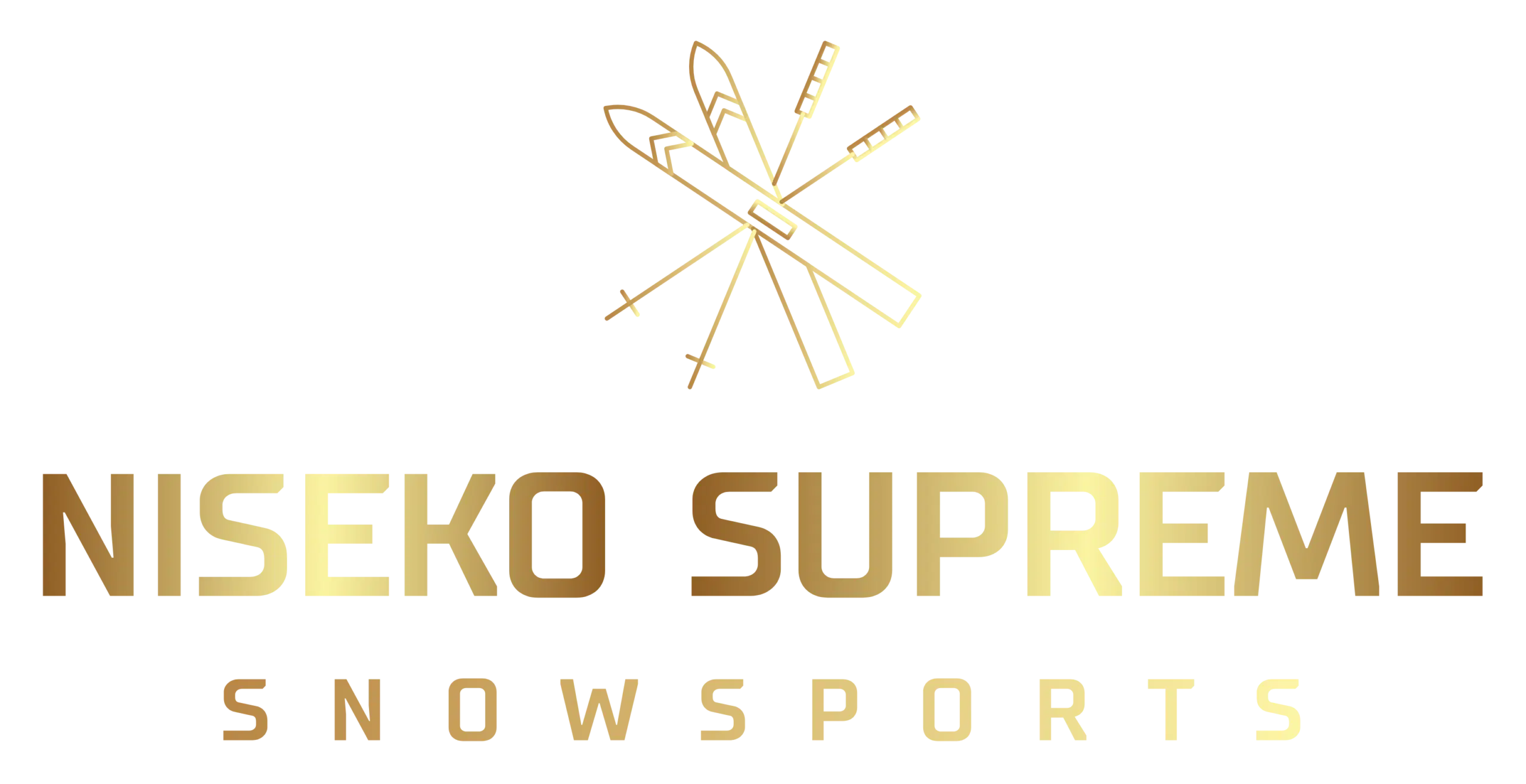 Private Ski Lesson : Color logo - no background