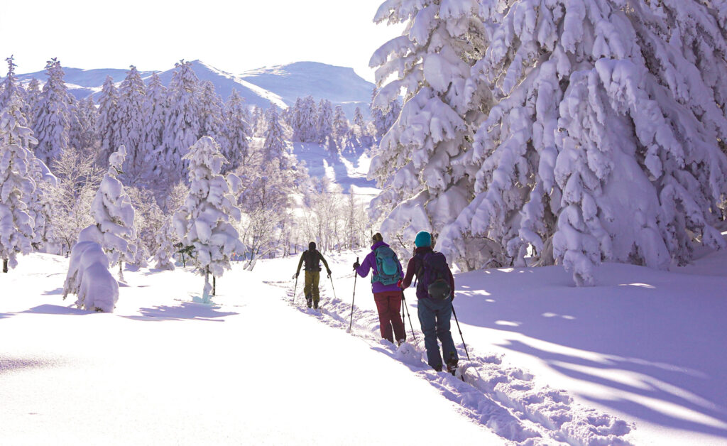 best ski runs in niseko