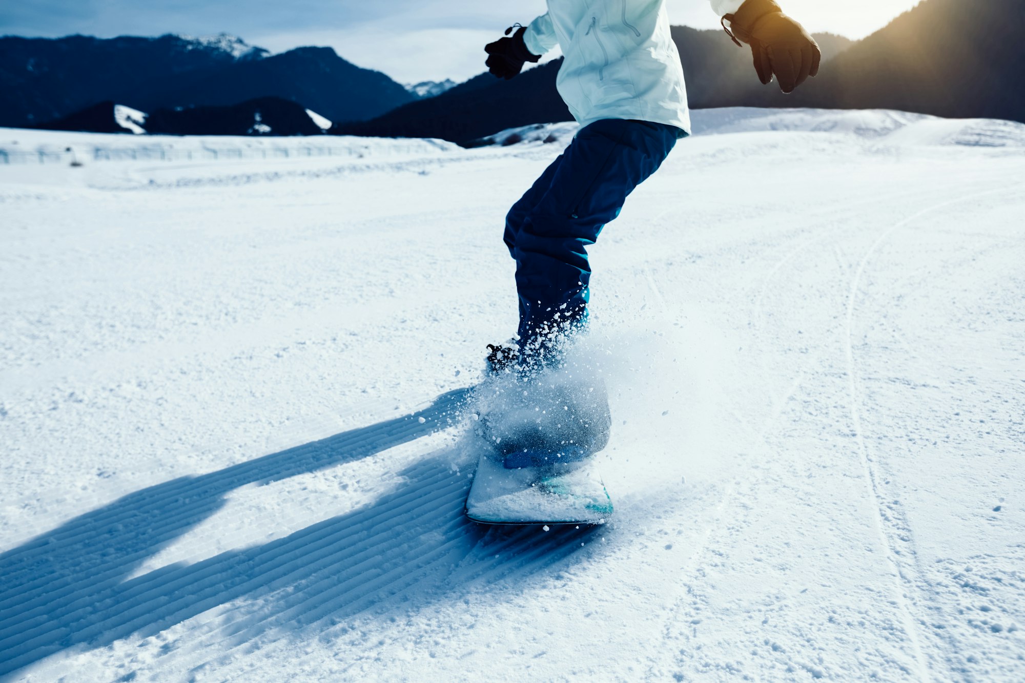 Niseko Snowboard