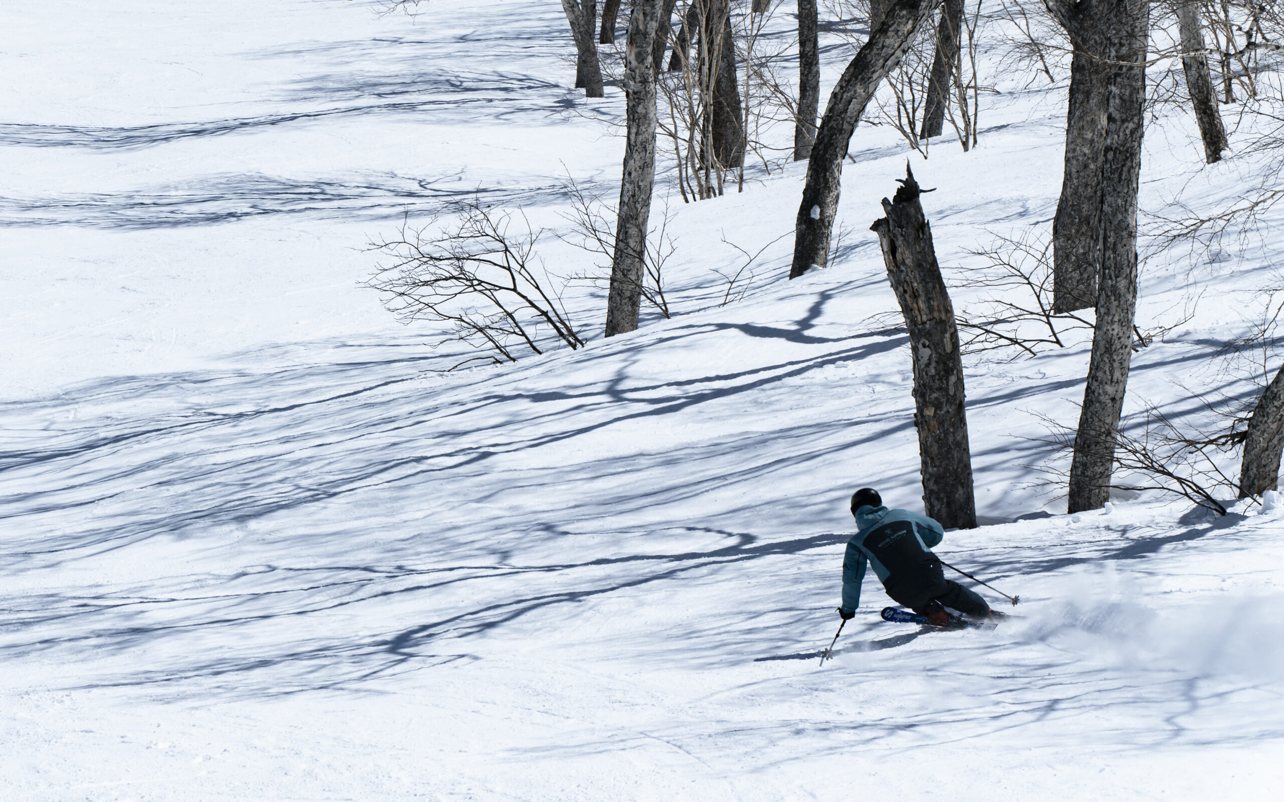 Elite Ski Tours in Niseko