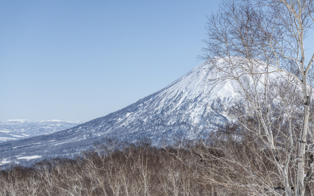 Niseko ski resort features