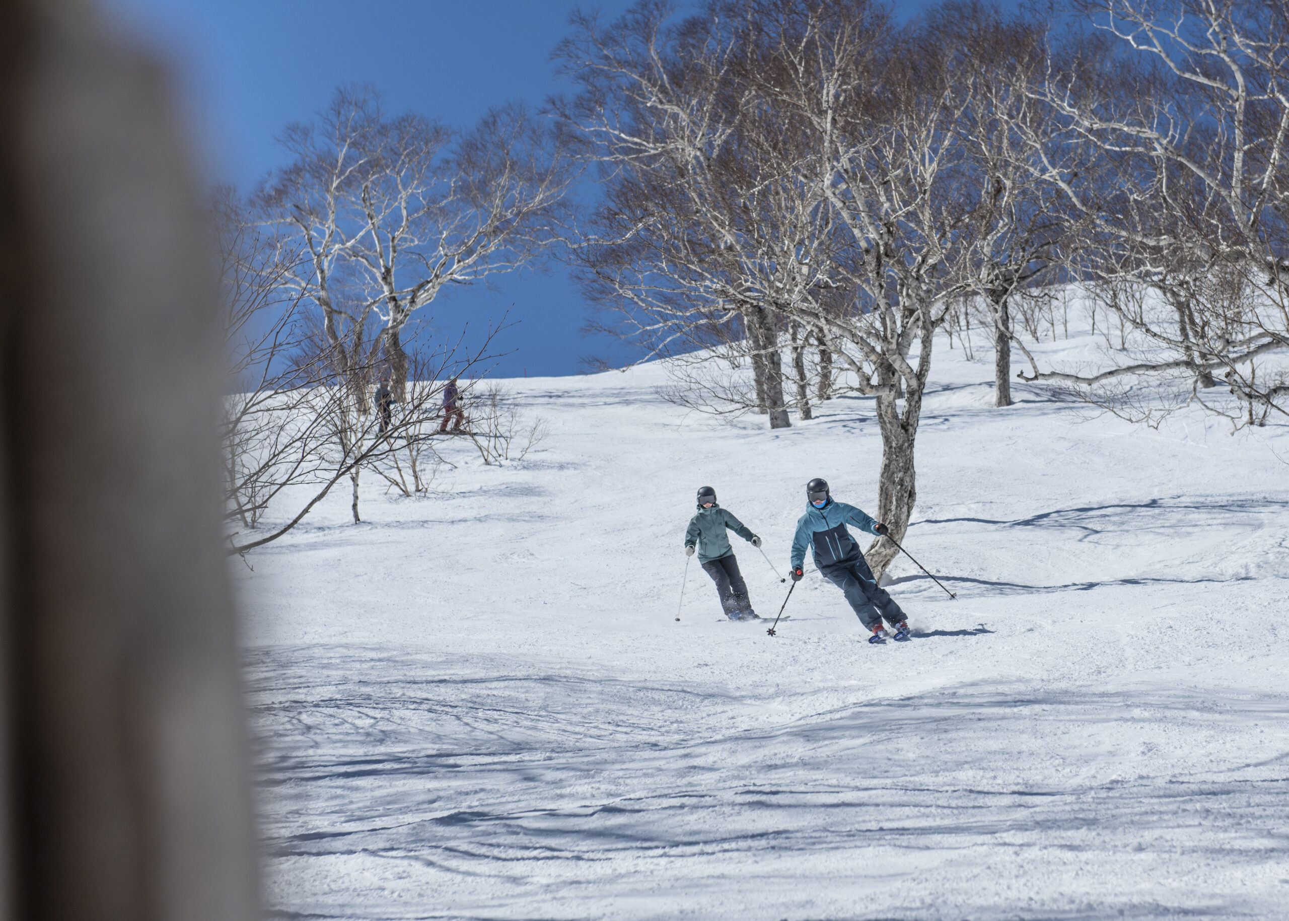 Niseko Skiing with Professional Guides