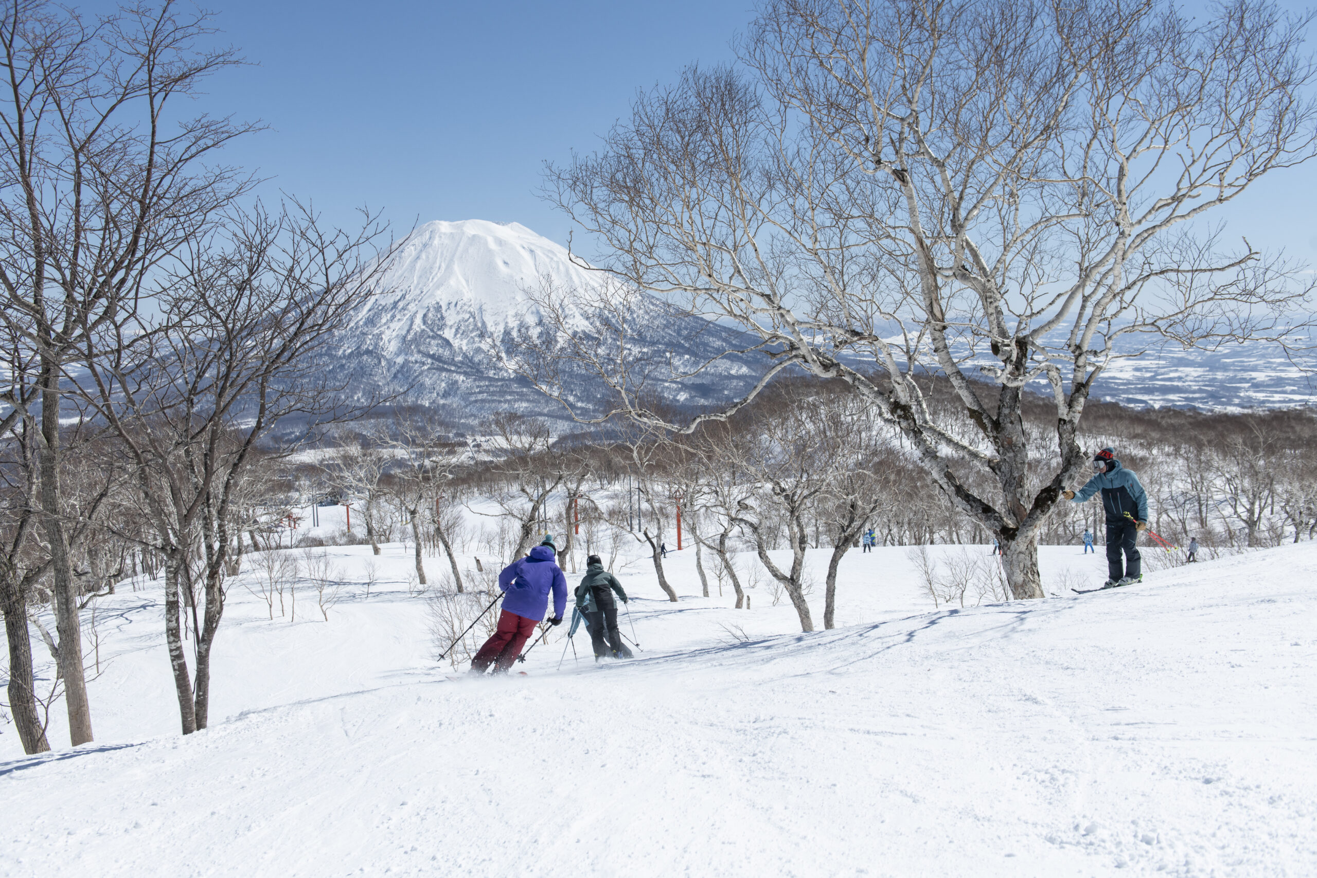 Niseko Skiing with Professional Guides