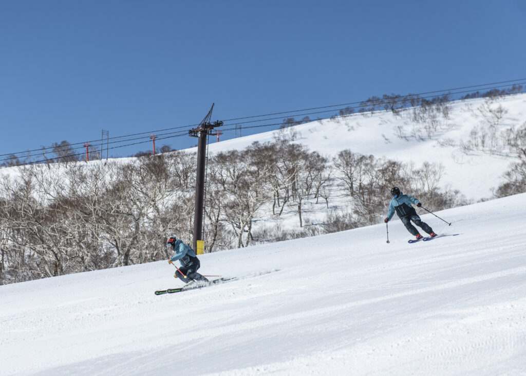 Professional ski training Niseko