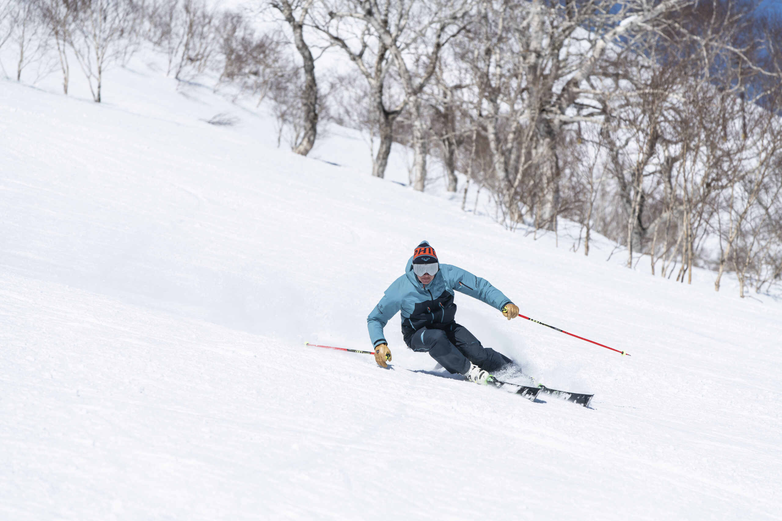 ski obstacles