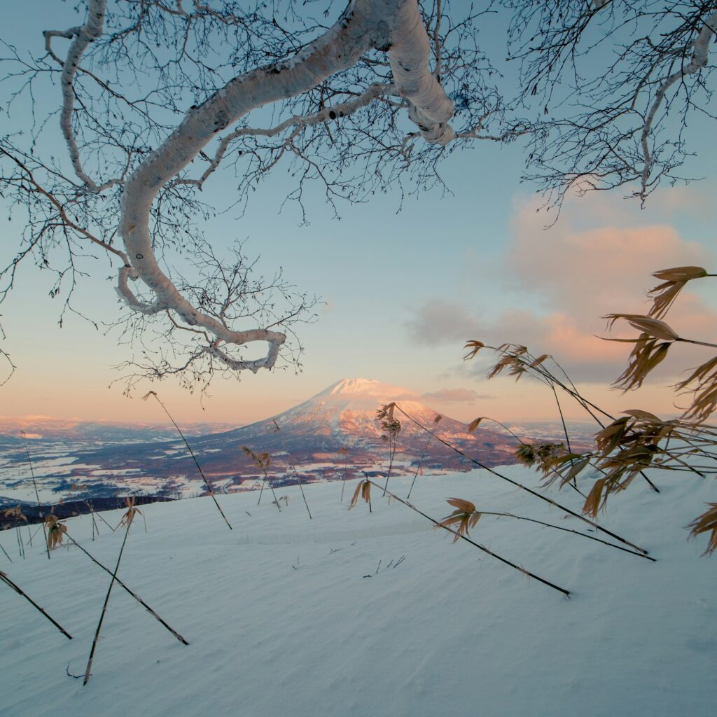 stay in niseko